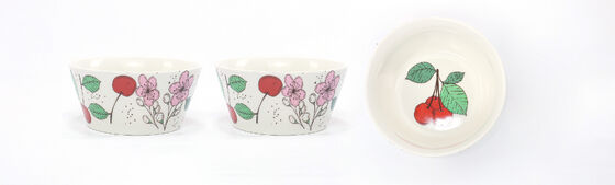 STRAWBERRY DINNERWARE SET