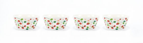 STRAWBERRY DINNERWARE SET