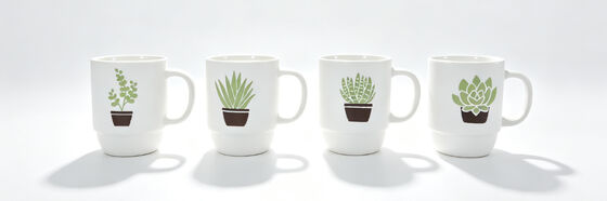 4 Pack Succulent Plant Ceramic Mugs, Minimalist White Stackable Coffee Cups with 4 Unique Houseplant Prints, Plant Lover Tea Mug Set for Home Decor & Gifts