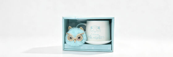 I Love The Night Owl Theme Mug Gift Box Set, Cute Ceramic Cup & Saucer with Fluffy Owl Brooch Accessory, Pastel Light Blue Ready-to-Gift Tableware for Girls Birthday & Night Owl Lover Gift