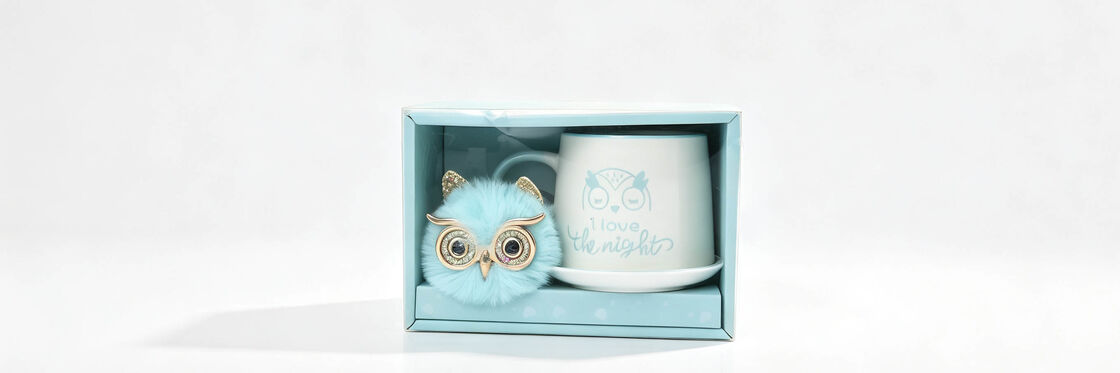 I Love The Night Owl Theme Mug Gift Box Set, Cute Ceramic Cup & Saucer with Fluffy Owl Brooch Accessory, Pastel Light Blue Ready-to-Gift Tableware for Girls Birthday & Night Owl Lover Gift